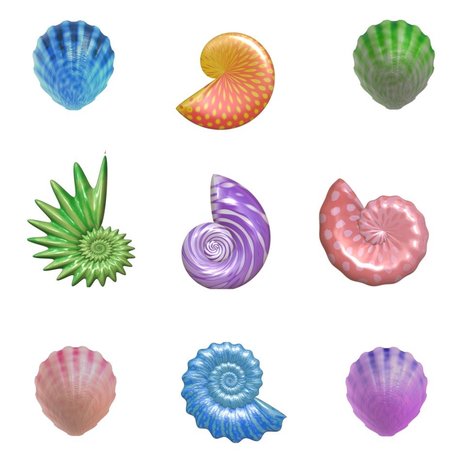 Different colorful shells on white background