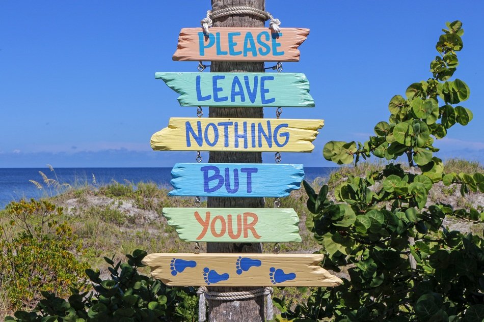 multicolored wood pointers on a beach in Florida