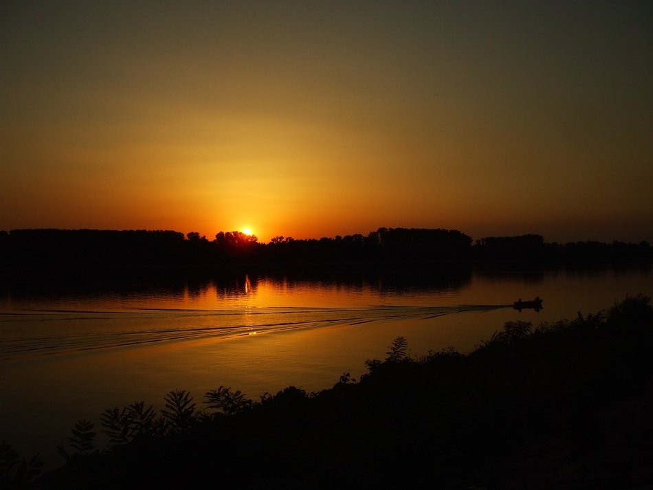 Sunset behind the trees on the landscape