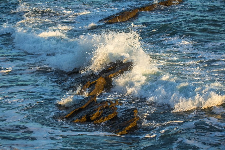 Picture of Reefs in ocean