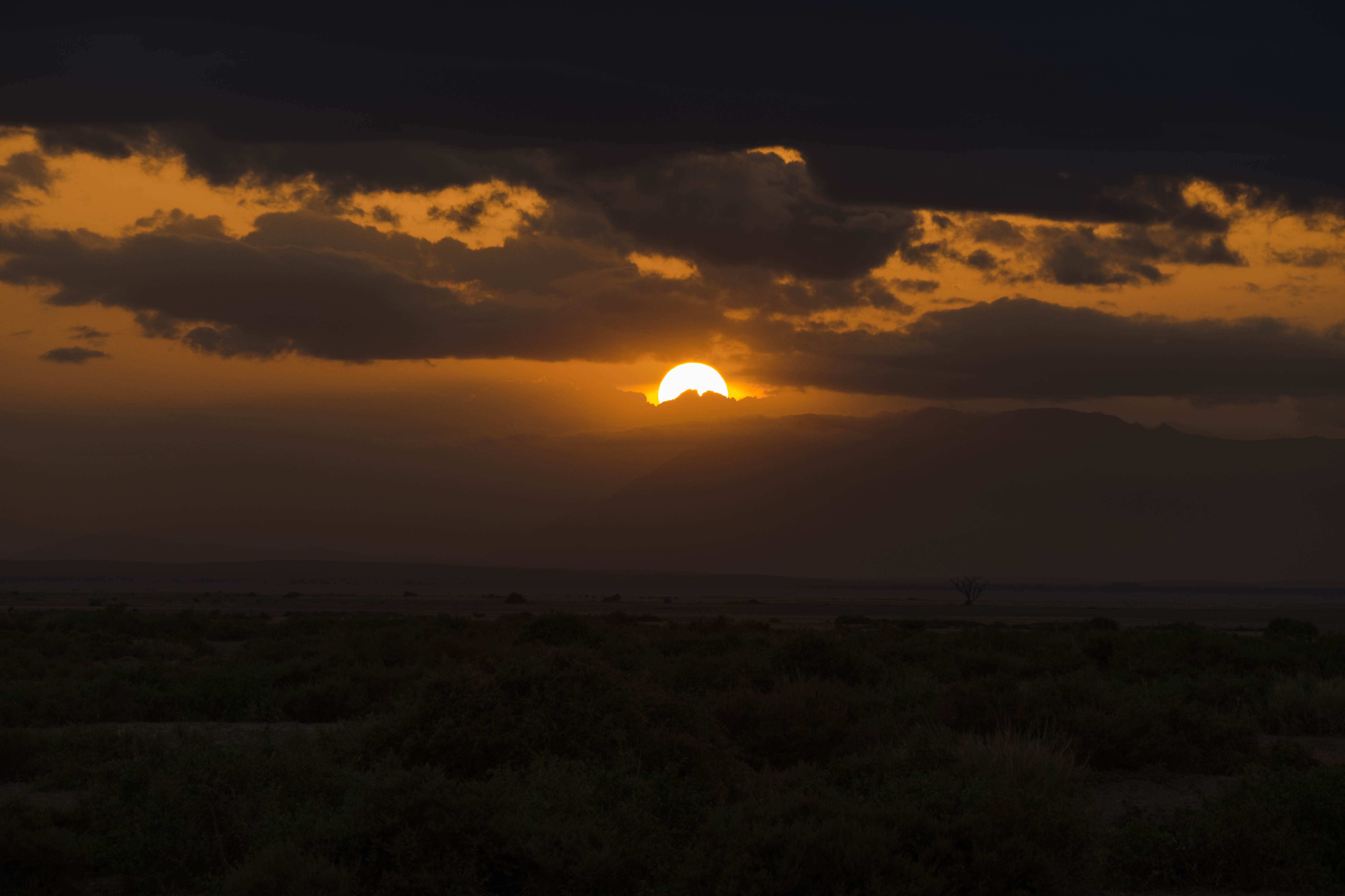 Africa Safari Sunset free image download