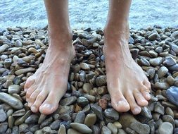 Barefoot on the Beach