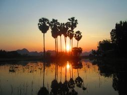 enchanting Evening Sunset