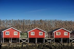 distant view of cottages in norway