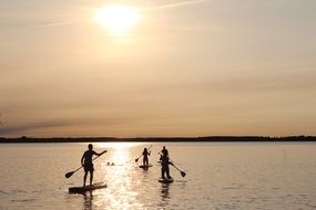 people on the boards with oars at dusk