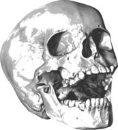 Bones Halloween Skeleton drawing