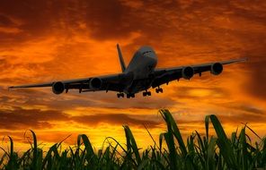 Holiday Aircraft