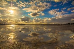 Low Tide on a sea