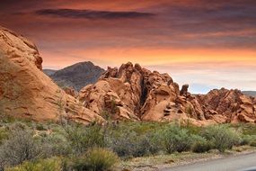 road along the rocks in nevada