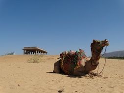Travel India Desert