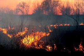 Fire Smoke Sunset