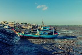 fishing boats on the shore