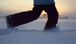 run through the white fluffy snow in winter