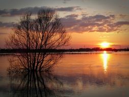 peaceful evening on the lake
