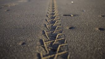 bike trail in the sand on the beach