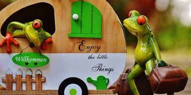 funny frogs in caravan