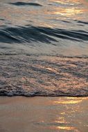 sandy golden surf at sunset