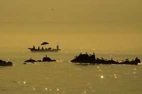 Coastal Island