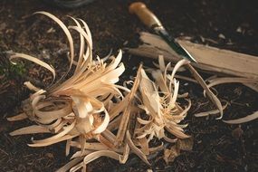 flowers carved from wood