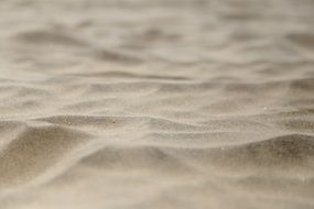 wonderful macro Sand Beach