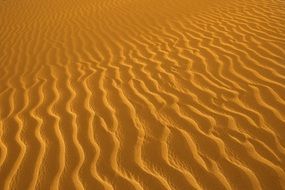 yellow beach sand close up