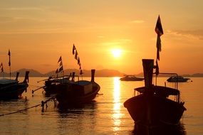 lot of boats at sunset in majorca
