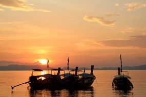 sailing boats at sunset