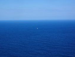 Landscape of calm blue ocean and lonely seagull