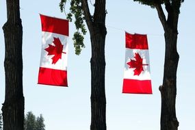 2 Canada Flags