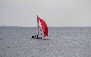 Sailboat on ocean