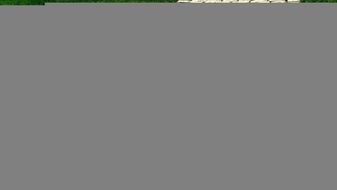 Road Grass Cobblestone Path N2