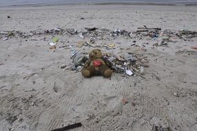 Pollution Teddy Bear