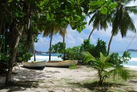 boats among palm trees on a tropical beach