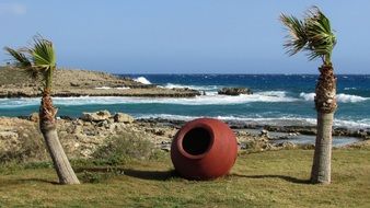 two palm trees and a clay jug by the sea in Ayia Napa, Cyprus