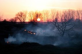 fire in the forest at sunset
