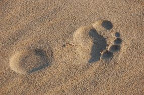 Picture of Footprint on a sand