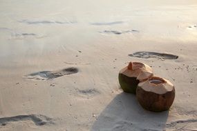 two coconuts on a sandy beach on the shores of the Mediterranean Sea