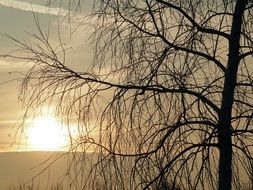 Beautiful evening sky above the lake and plants