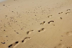 Footprints Sand Sun