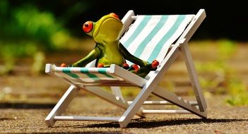 frog is resting on a sun lounger