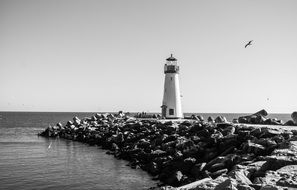 black and white photo of the lighthouse on the rocky coast