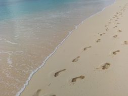 many Tracks on the beach