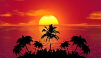 tropical sunset with palms