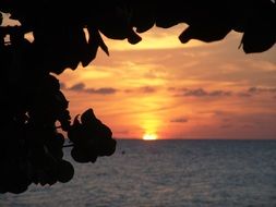 gorgeous Caribbean Sunset, Jamaica