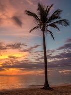 punta cana bavaro beach