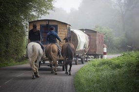 Caravan Gypsy