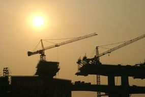 silhouettes of cranes during sunset