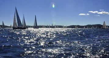 Sailing Sea Saint-Tropez