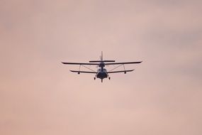 Airplane Flying in pink sky