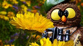 Funny Photographer owl